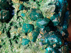 Natural Cabinet Size Dioptase Specimens with Crystalline Malachite on Dolomite x 2 From Mashamba East Mine, Congo - Toprock Gemstones and Minerals 
