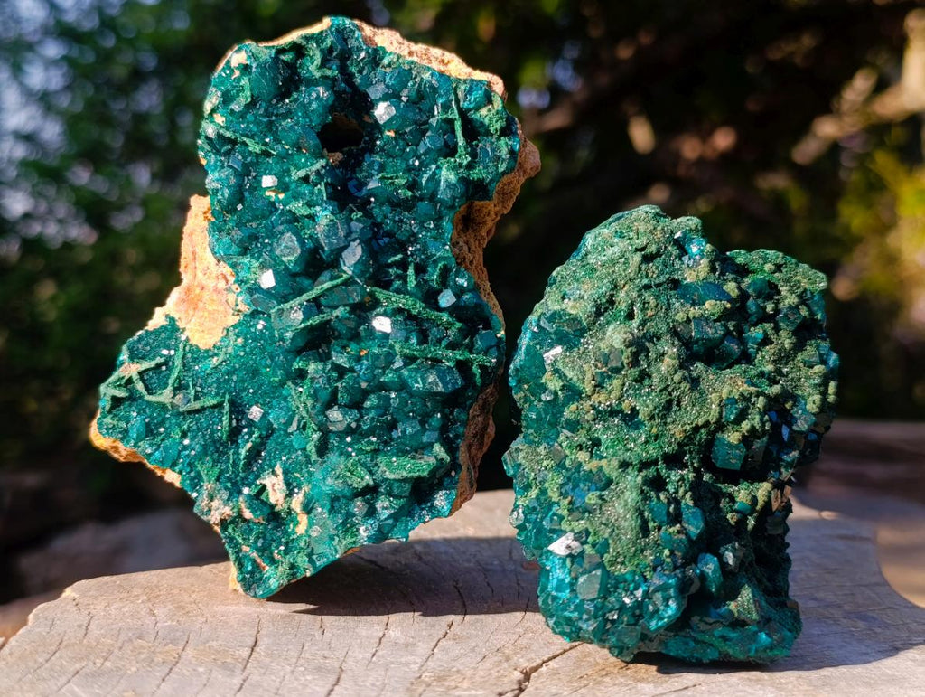 Natural Cabinet Size Dioptase Specimens with Crystalline Malachite on Dolomite x 2 From Mashamba East Mine, Congo - Toprock Gemstones and Minerals 