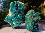 Natural Cabinet Size Dioptase Specimens with Crystalline Malachite on Dolomite x 2 From Mashamba East Mine, Congo - Toprock Gemstones and Minerals 
