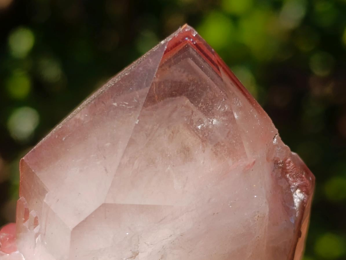 Natural Red Hematoid Quartz Crystals and Clusters x 6 From Karoi, Zimbabwe - Toprock Gemstones and Minerals 