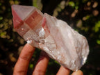 Natural Red Hematoid Quartz Crystals and Clusters x 6 From Karoi, Zimbabwe - Toprock Gemstones and Minerals 