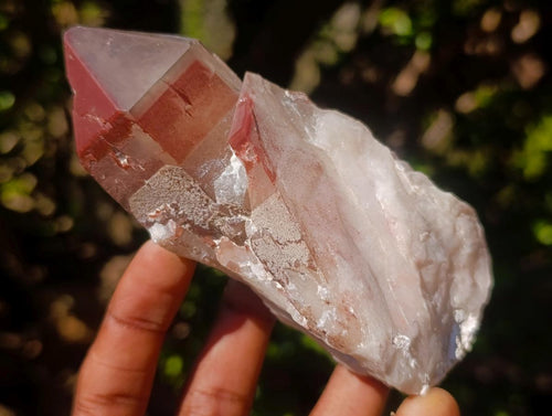 Natural Red Hematoid Quartz Crystals and Clusters x 6 From Karoi, Zimbabwe - Toprock Gemstones and Minerals 