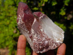 Natural Red Hematoid Quartz Crystals and Clusters x 6 From Karoi, Zimbabwe - Toprock Gemstones and Minerals 