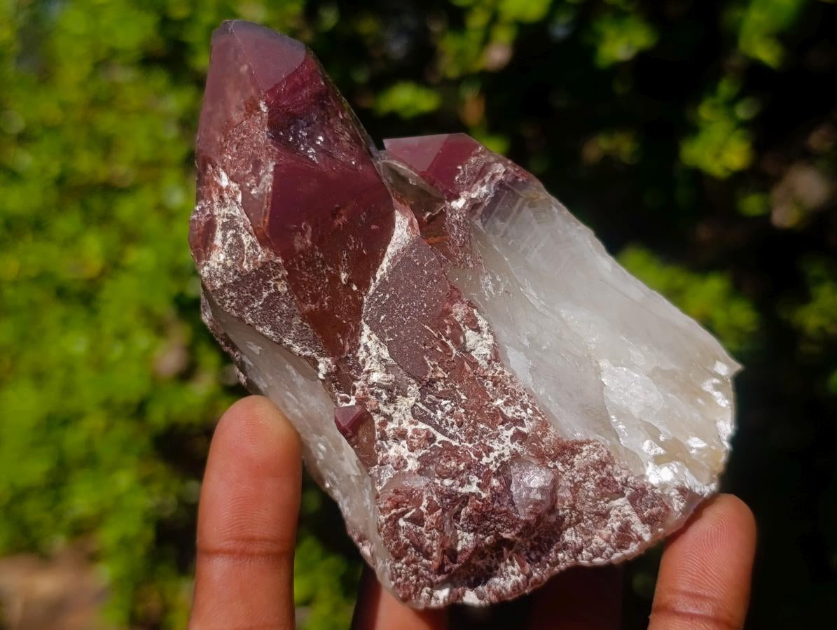 Natural Red Hematoid Quartz Crystals and Clusters x 6 From Karoi, Zimbabwe - Toprock Gemstones and Minerals 