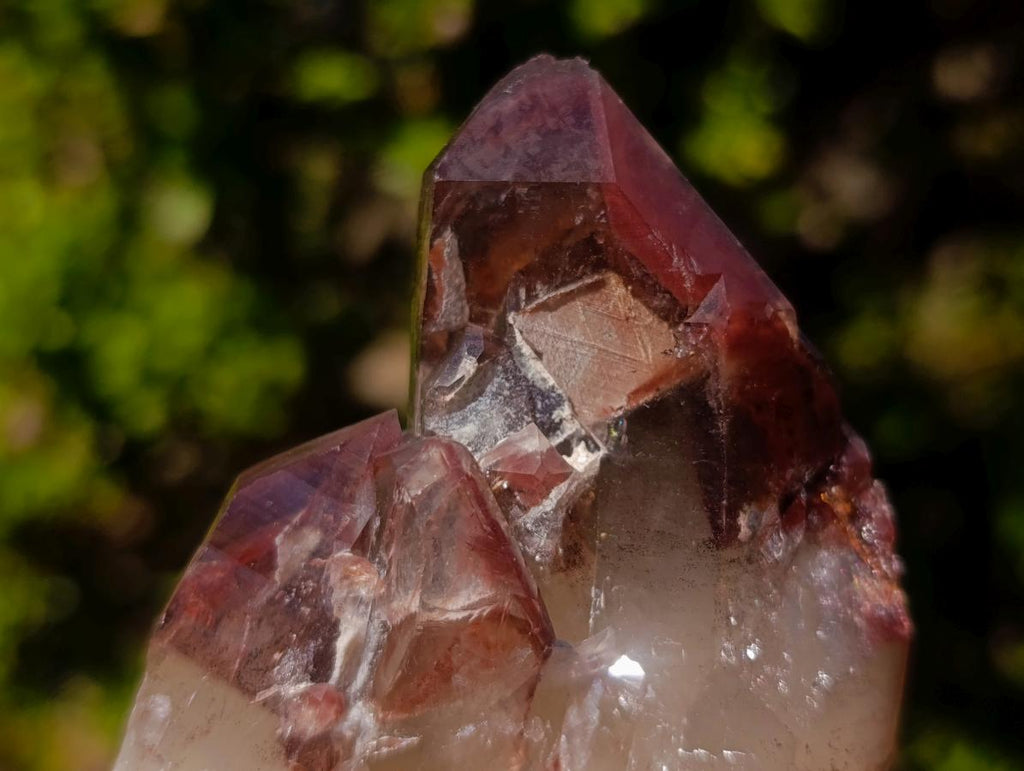 Natural Red Hematoid Quartz Crystals and Clusters x 6 From Karoi, Zimbabwe - Toprock Gemstones and Minerals 