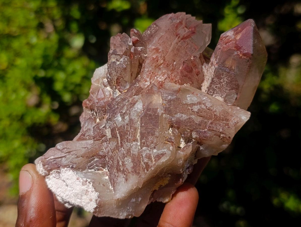 Natural Red Hematoid Quartz Crystals and Clusters x 6 From Karoi, Zimbabwe - Toprock Gemstones and Minerals 