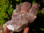 Natural Red Hematoid Quartz Crystals and Clusters x 6 From Karoi, Zimbabwe - Toprock Gemstones and Minerals 