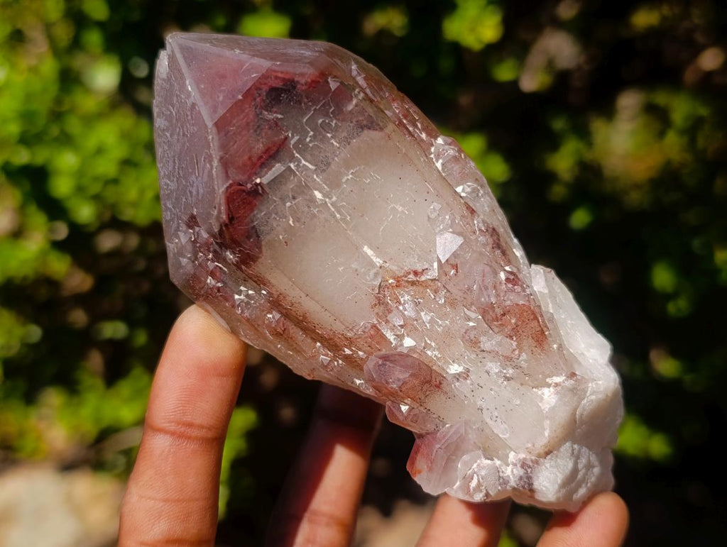 Natural Red Hematoid Quartz Crystals and Clusters x 6 From Karoi, Zimbabwe - Toprock Gemstones and Minerals 