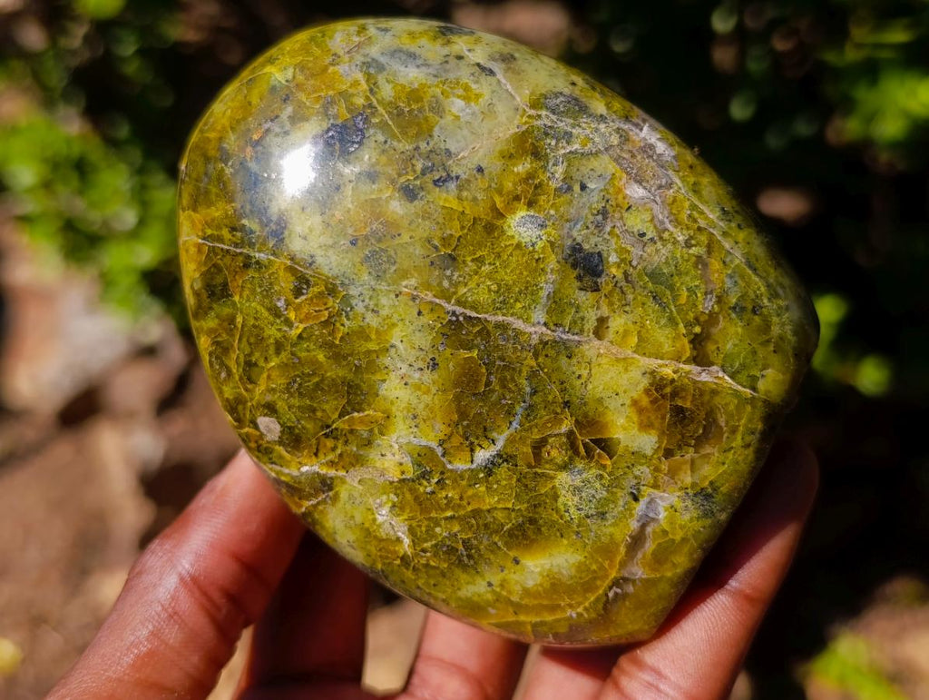 Polished Green Opal Standing Display Pieces x 3 From Betroka, Madagascar - Toprock Gemstones and Minerals 