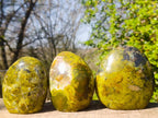 Polished Green Opal Standing Display Pieces x 3 From Betroka, Madagascar - Toprock Gemstones and Minerals 