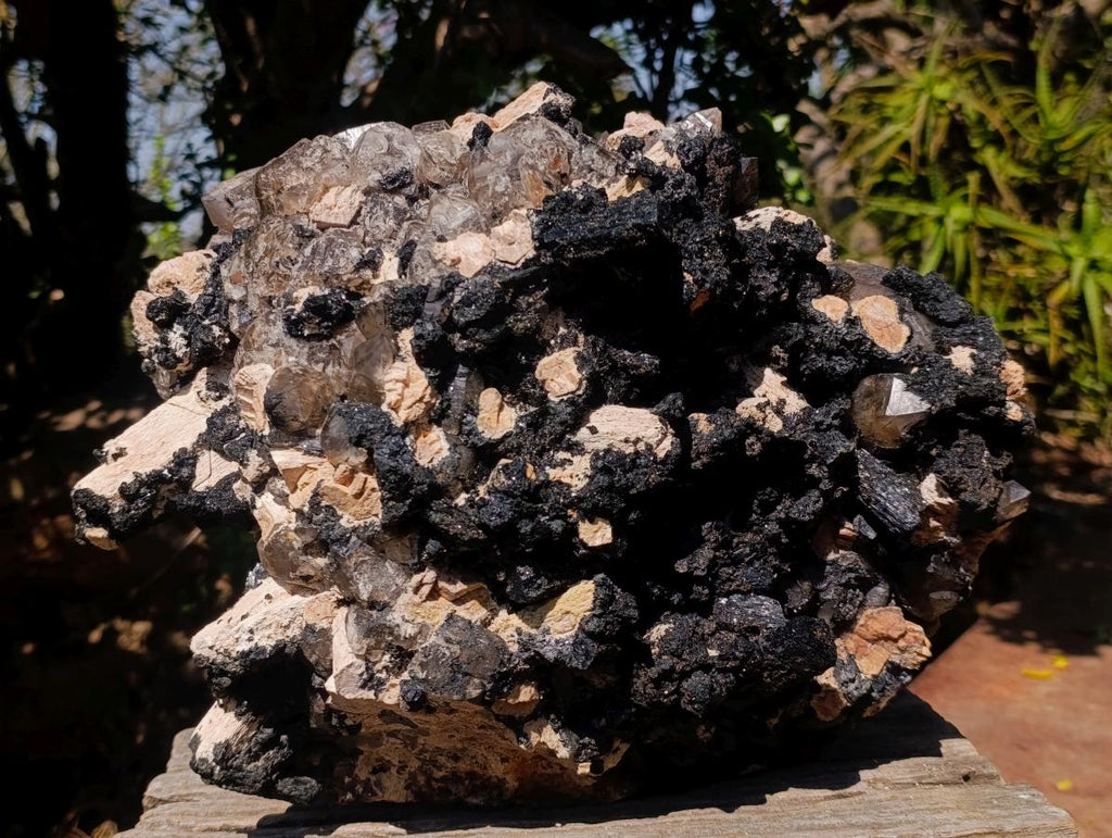 Natural XL Smokey Quartz Crystal Cluster with Associated Minerals x 1 From Erongo, Namibia - Toprock Gemstones and Minerals 