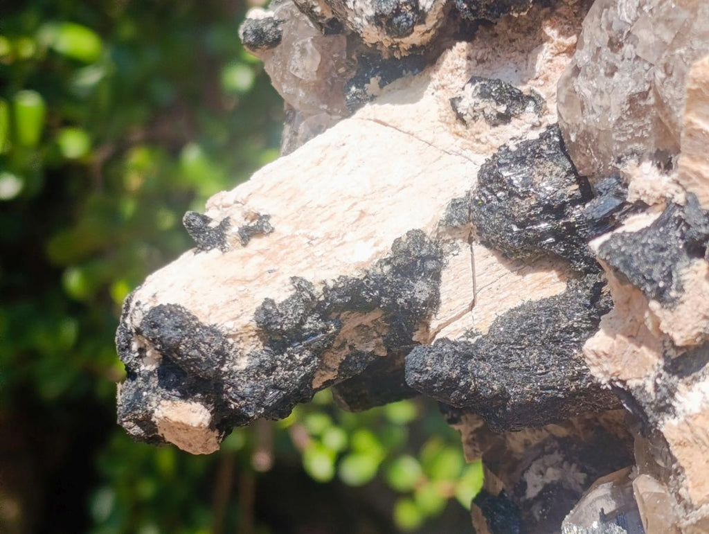 Natural XL Smokey Quartz Crystal Cluster with Associated Minerals x 1 From Erongo, Namibia - Toprock Gemstones and Minerals 