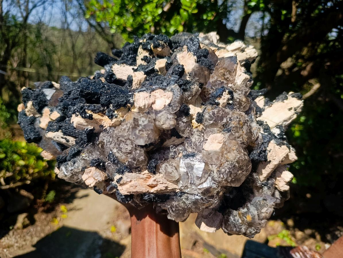 Natural XL Smokey Quartz Crystal Cluster with Associated Minerals x 1 From Erongo, Namibia - Toprock Gemstones and Minerals 
