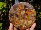 Hand Made Ammonite Conglomerate Table Coasters x 6 From Mahajanga, Madagascar - Toprock Gemstones and Minerals 