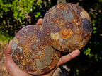 Hand Made Ammonite Conglomerate Table Coasters x 6 From Mahajanga, Madagascar - Toprock Gemstones and Minerals 