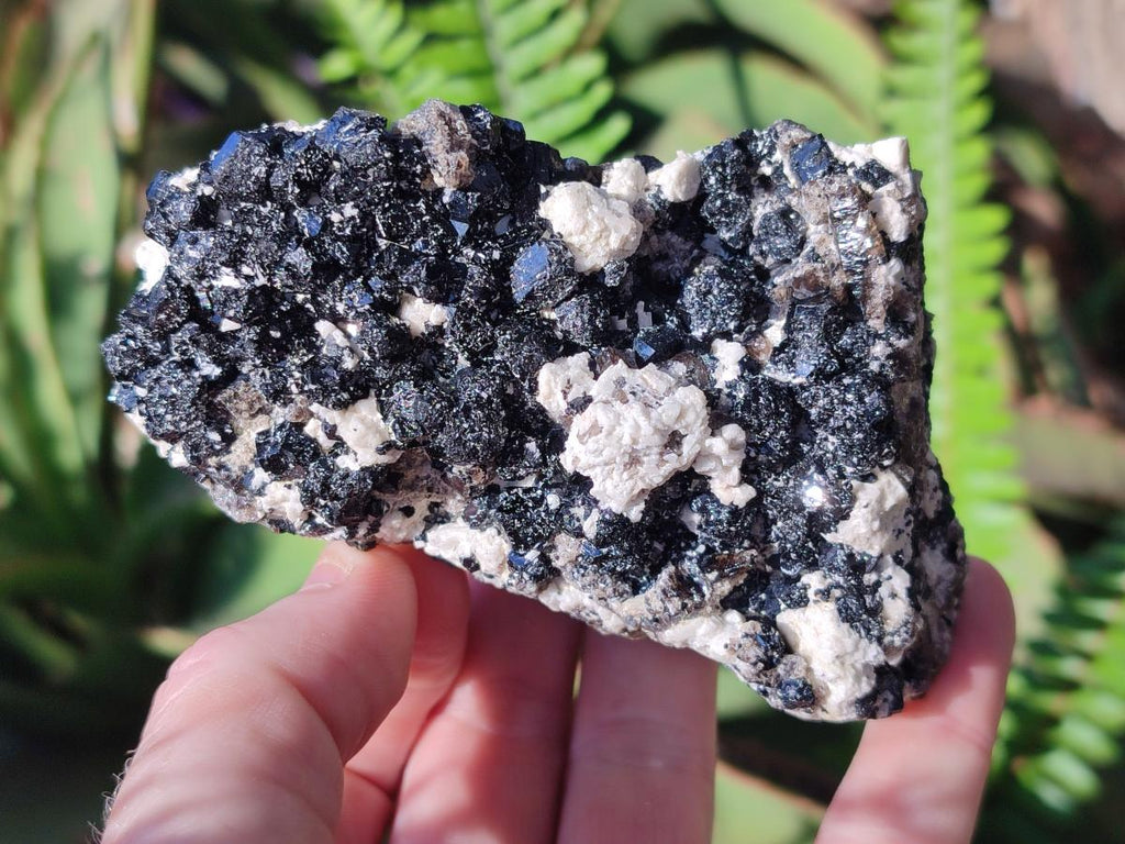 Natural Schorl Black Tourmaline Specimens x 6 From Erongo, Namibia - Toprock Gemstones and Minerals 