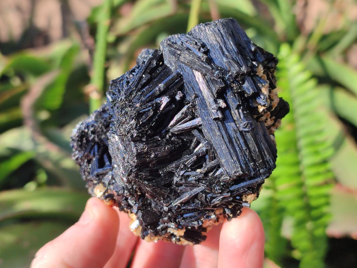 Natural Schorl Black Tourmaline Specimens x 6 From Erongo, Namibia - Toprock Gemstones and Minerals 