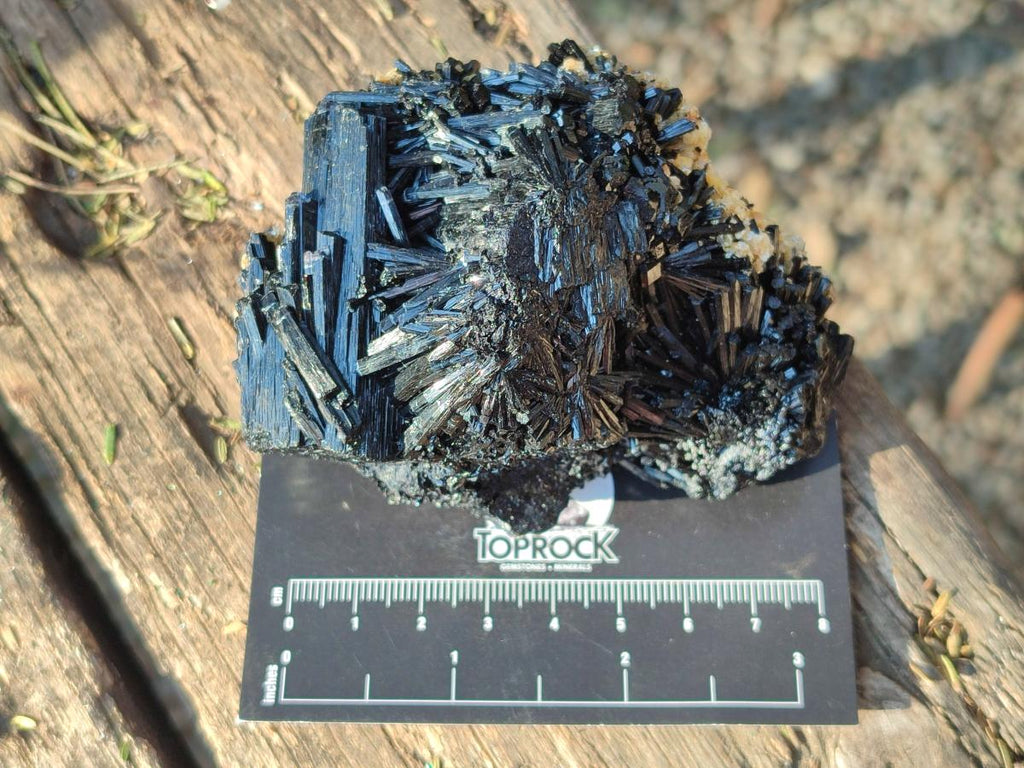Natural Schorl Black Tourmaline Specimens x 6 From Erongo, Namibia - Toprock Gemstones and Minerals 