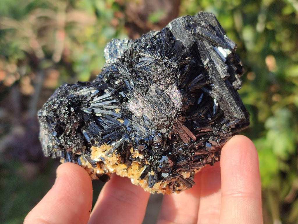 Natural Schorl Black Tourmaline Specimens x 6 From Erongo, Namibia - Toprock Gemstones and Minerals 