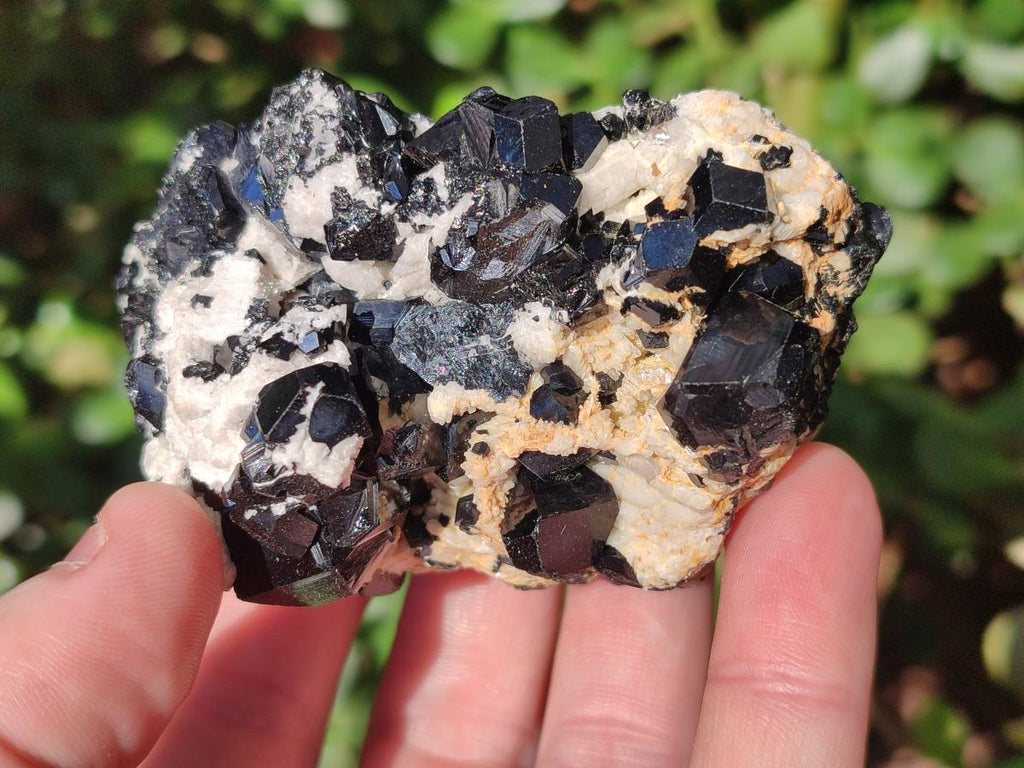 Natural Schorl Black Tourmaline Specimens x 6 From Erongo, Namibia - Toprock Gemstones and Minerals 
