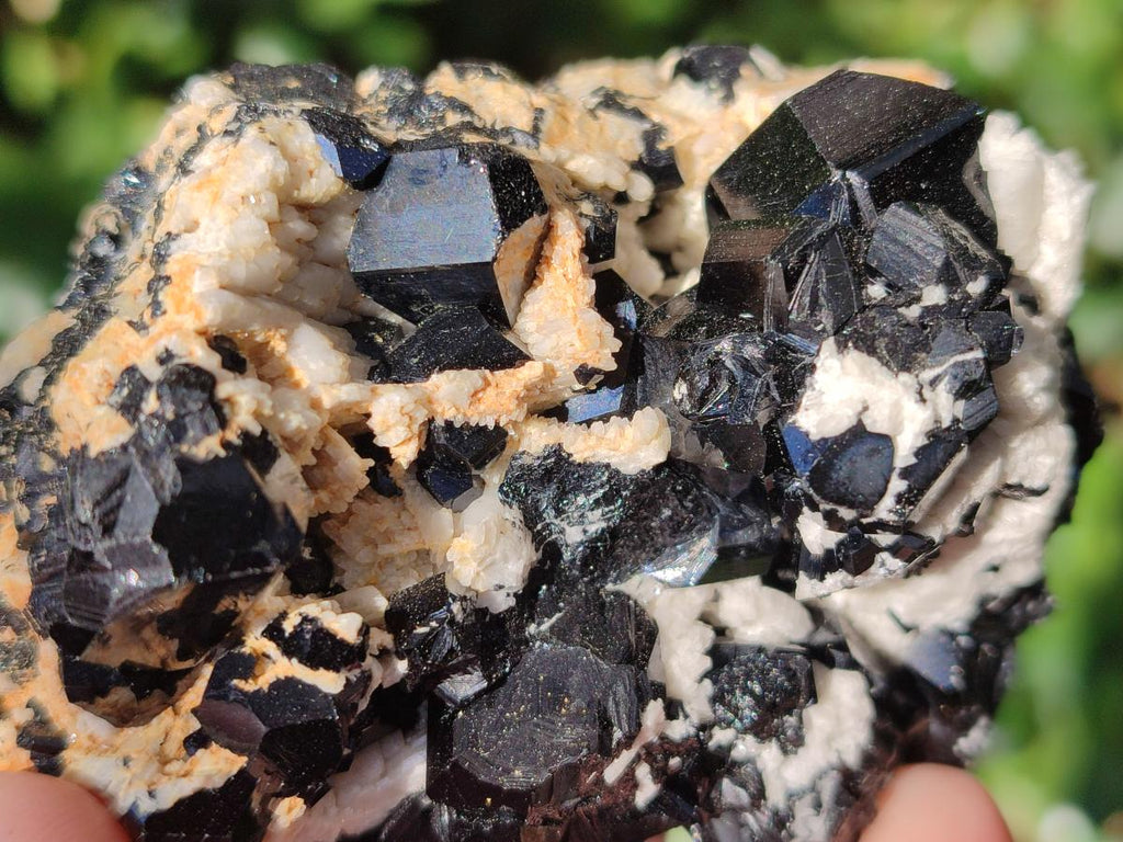 Natural Schorl Black Tourmaline Specimens x 6 From Erongo, Namibia - Toprock Gemstones and Minerals 