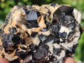 Natural Schorl Black Tourmaline Specimens x 6 From Erongo, Namibia - Toprock Gemstones and Minerals 