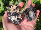 Natural Schorl Black Tourmaline Specimens x 6 From Erongo, Namibia - Toprock Gemstones and Minerals 