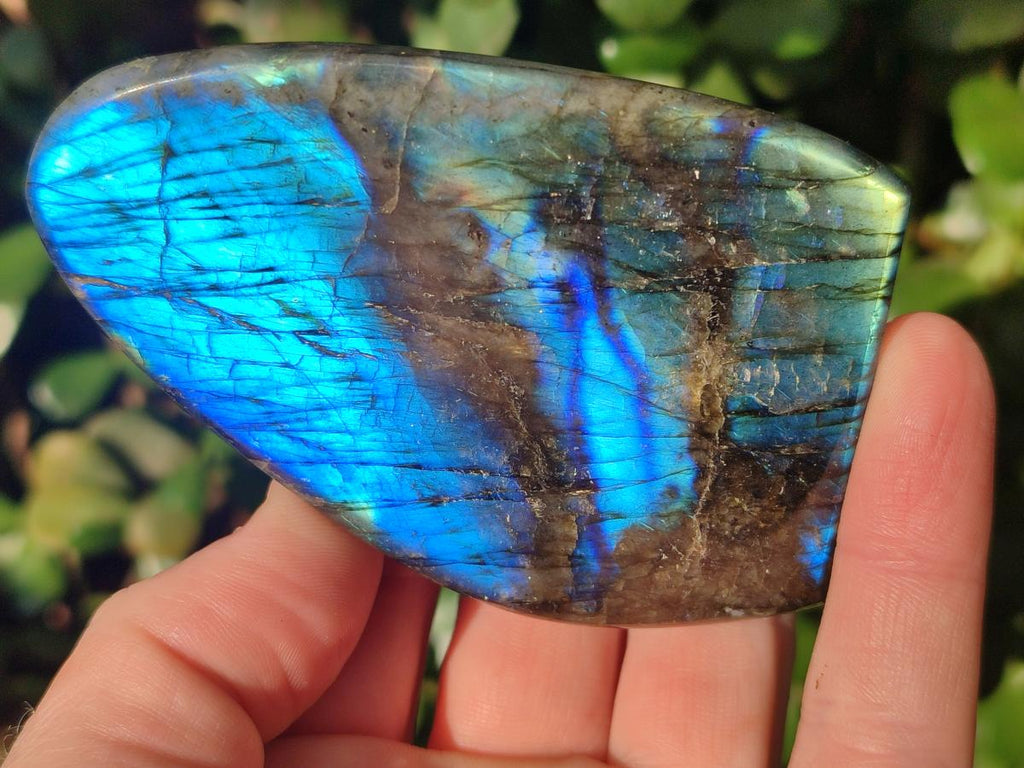 Polished Labradorite Standing Display Pieces x 6 From Madagascar - Toprock Gemstones and Minerals 