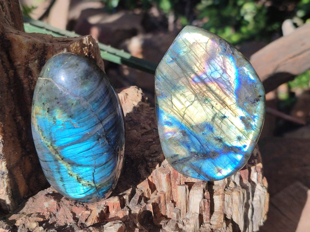 Polished Labradorite Standing Display Pieces x 6 From Madagascar - Toprock Gemstones and Minerals 