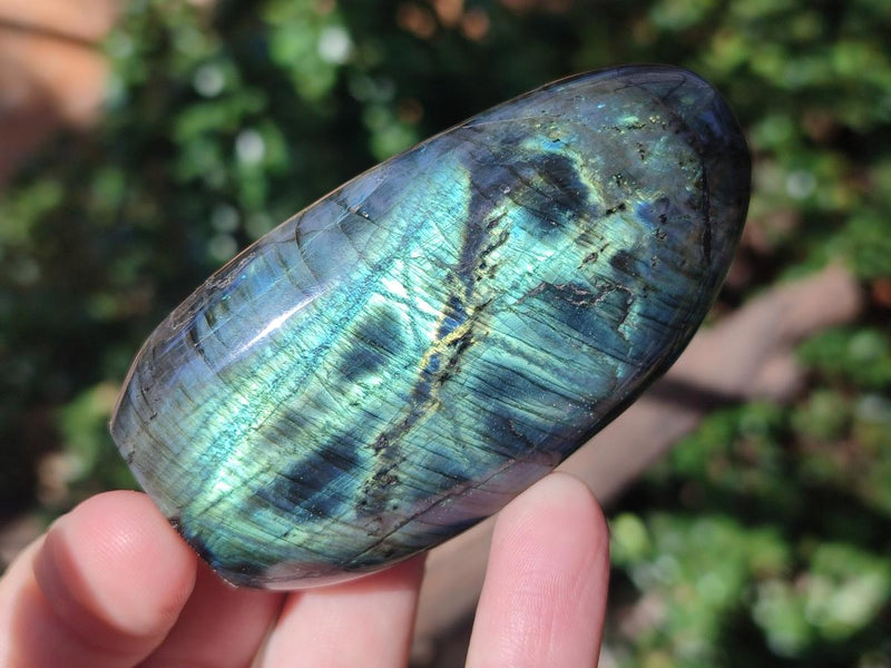 Polished Labradorite Standing Display Pieces x 6 From Madagascar - Toprock Gemstones and Minerals 