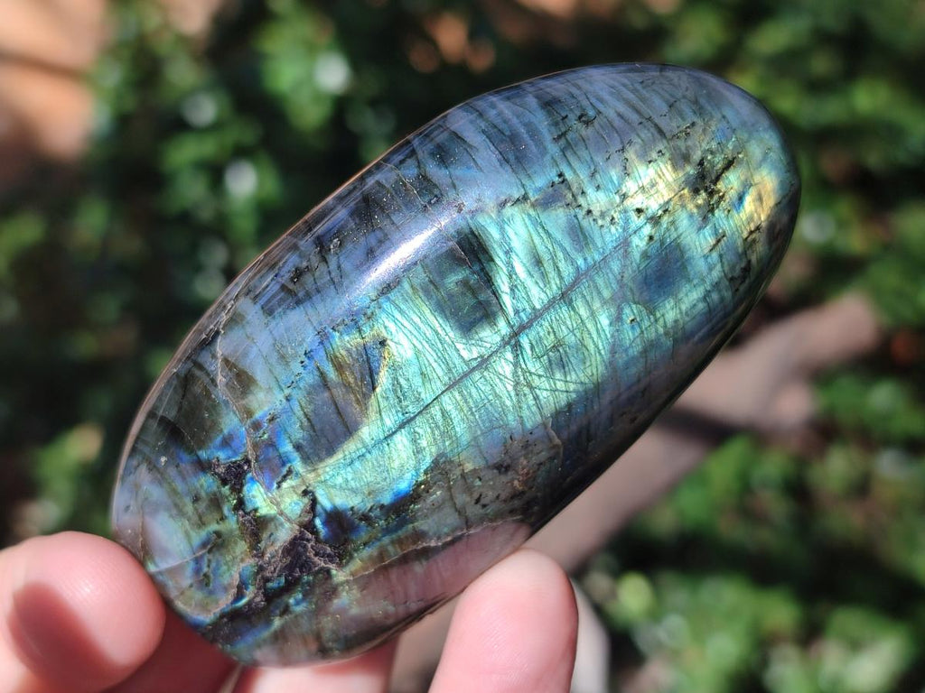 Polished Labradorite Standing Display Pieces x 6 From Madagascar - Toprock Gemstones and Minerals 
