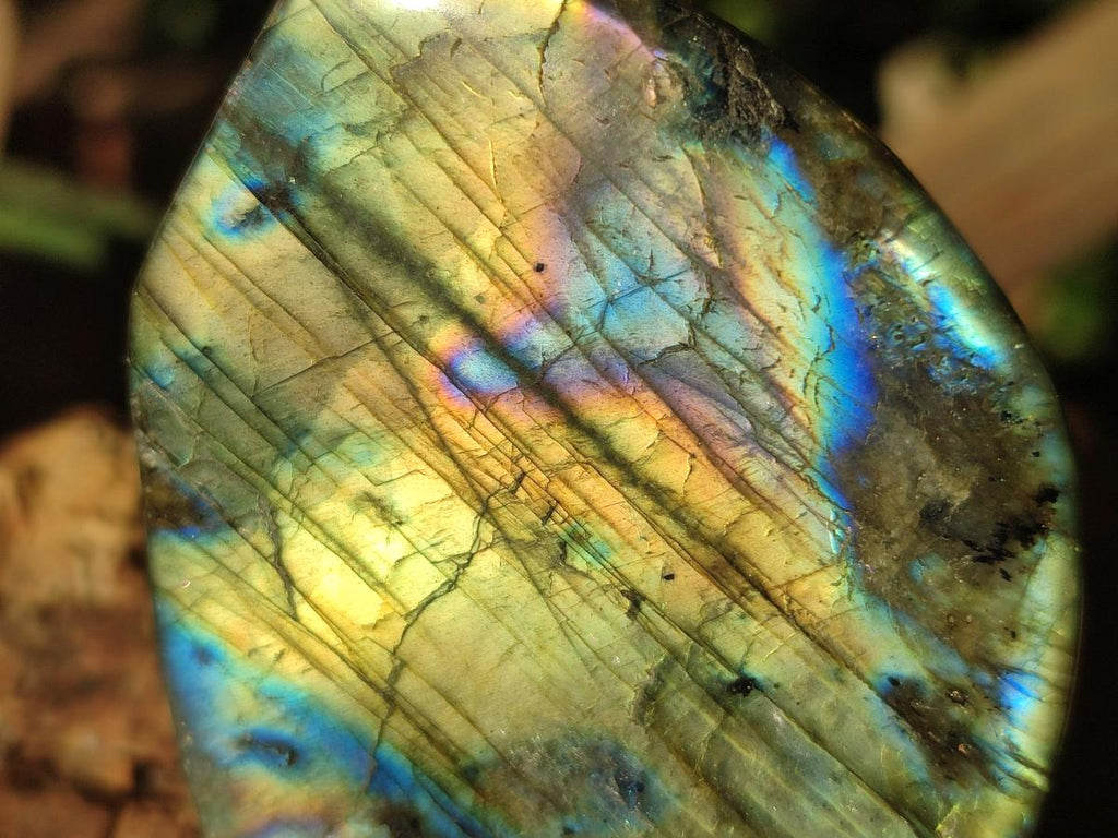 Polished Labradorite Standing Display Pieces x 6 From Madagascar - Toprock Gemstones and Minerals 