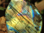 Polished Labradorite Standing Display Pieces x 6 From Madagascar - Toprock Gemstones and Minerals 