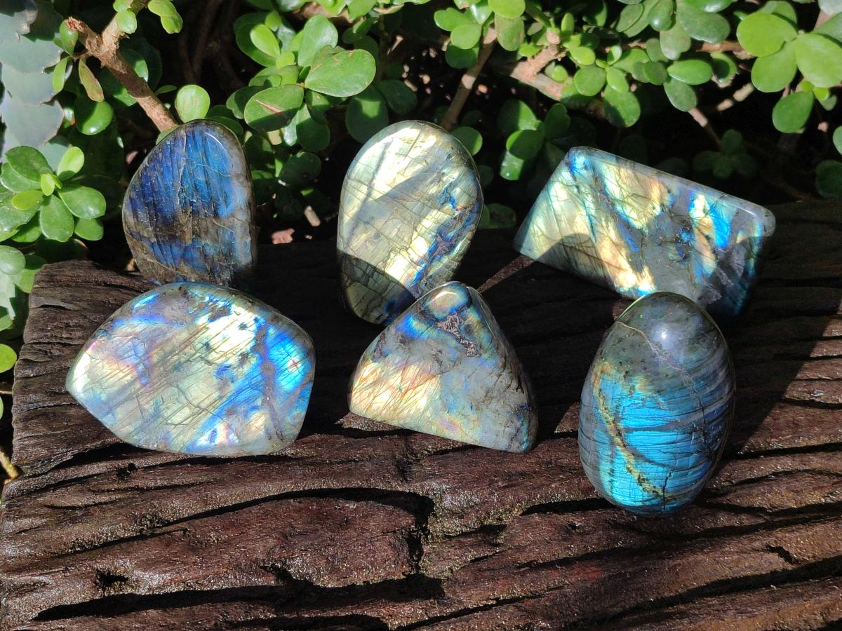 Polished Labradorite Standing Display Pieces x 6 From Madagascar - Toprock Gemstones and Minerals 