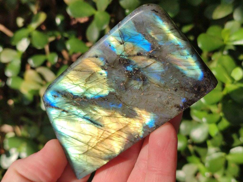 Polished Labradorite Standing Display Pieces x 6 From Madagascar - Toprock Gemstones and Minerals 