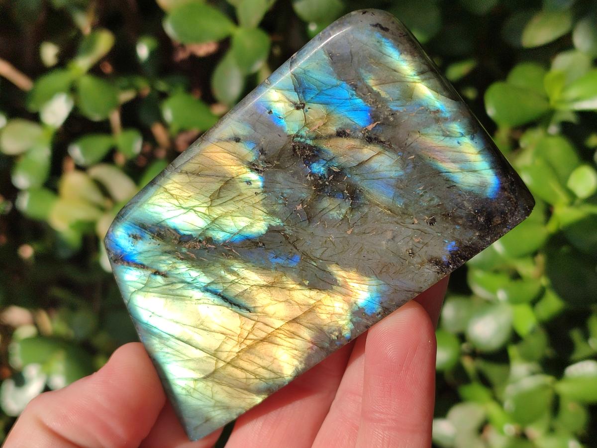 Polished Labradorite Standing Display Pieces x 6 From Madagascar - Toprock Gemstones and Minerals 