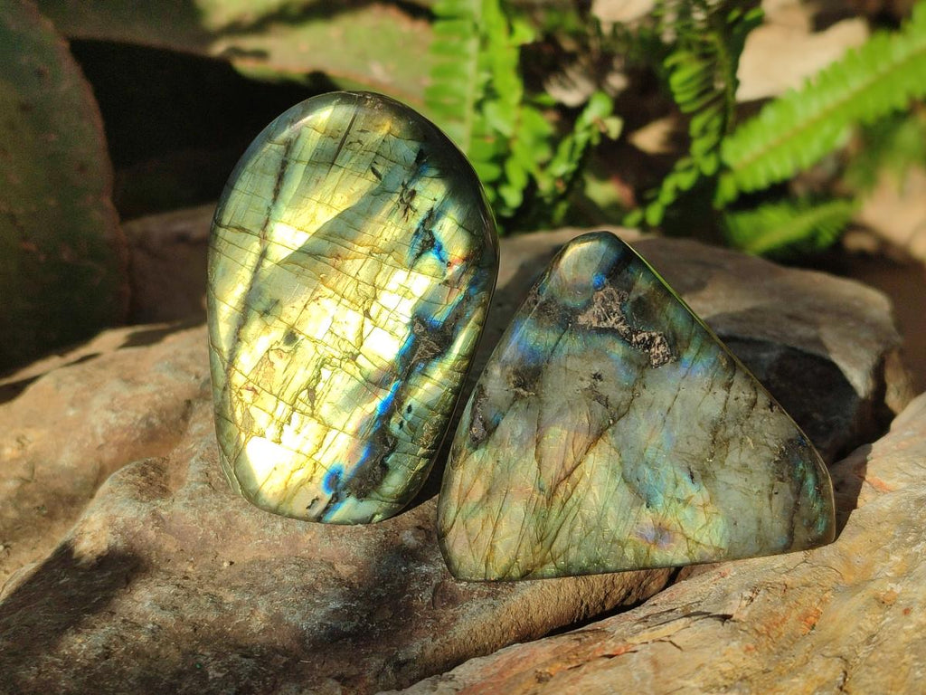 Polished Labradorite Standing Display Pieces x 6 From Madagascar - Toprock Gemstones and Minerals 