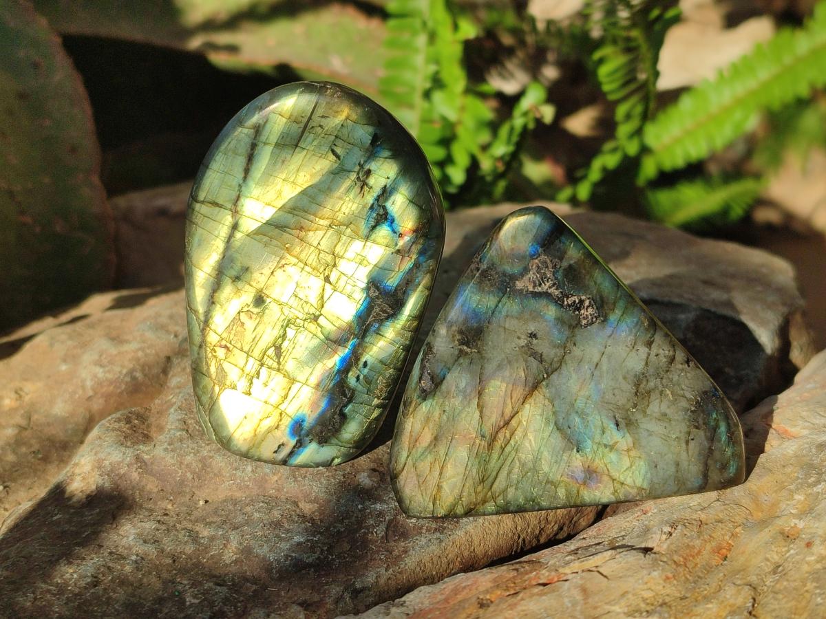 Polished Labradorite Standing Display Pieces x 6 From Madagascar - Toprock Gemstones and Minerals 