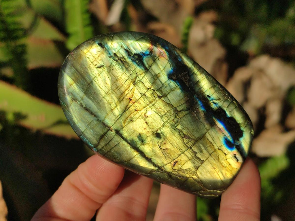 Polished Labradorite Standing Display Pieces x 6 From Madagascar - Toprock Gemstones and Minerals 