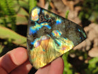 Polished Labradorite Standing Display Pieces x 6 From Madagascar - Toprock Gemstones and Minerals 
