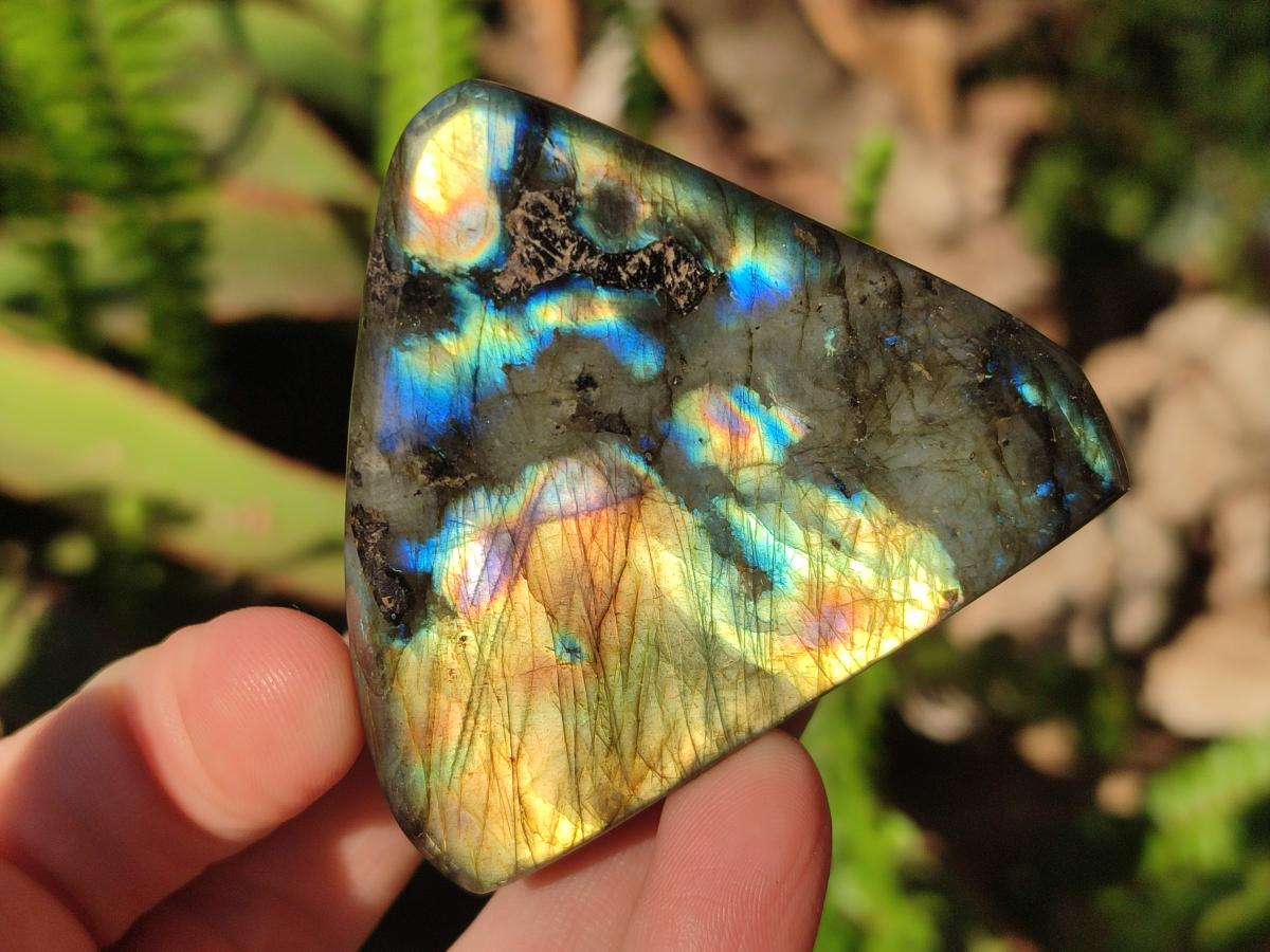 Polished Labradorite Standing Display Pieces x 6 From Madagascar - Toprock Gemstones and Minerals 