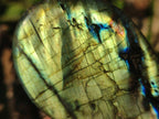 Polished Labradorite Standing Display Pieces x 6 From Madagascar - Toprock Gemstones and Minerals 