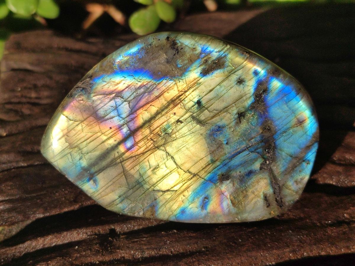 Polished Labradorite Standing Display Pieces x 6 From Madagascar - Toprock Gemstones and Minerals 