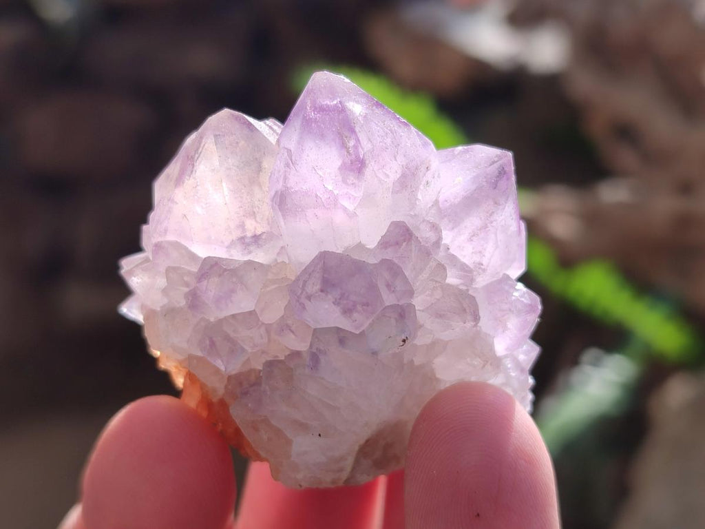 Natural Sunburst Spirit Amethyst Crystals x 20 From Boekenhouthoek, South Africa - Toprock Gemstones and Minerals 