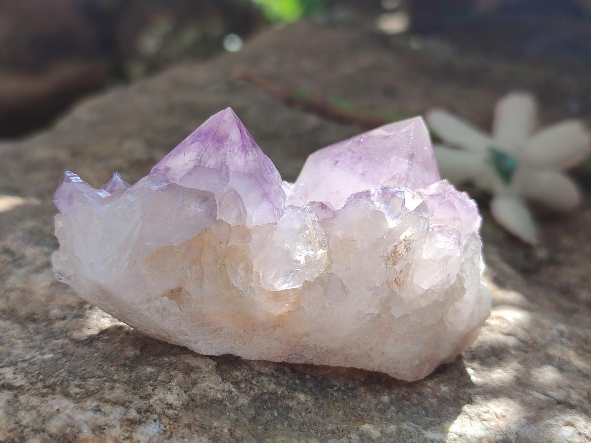 Natural Sunburst Spirit Amethyst Crystals x 20 From Boekenhouthoek, South Africa - Toprock Gemstones and Minerals 