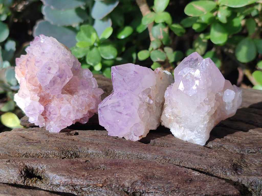Natural Sunburst Spirit Amethyst Crystals x 20 From Boekenhouthoek, South Africa - Toprock Gemstones and Minerals 