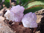 Natural Sunburst Spirit Amethyst Crystals x 20 From Boekenhouthoek, South Africa - Toprock Gemstones and Minerals 