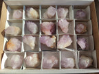 Natural Sunburst Spirit Amethyst Crystals x 20 From Boekenhouthoek, South Africa - Toprock Gemstones and Minerals 