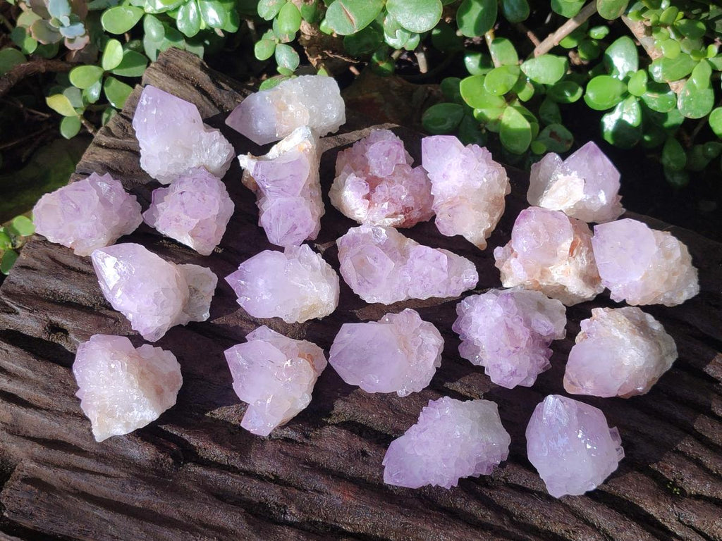 Natural Sunburst Spirit Amethyst Crystals x 20 From Boekenhouthoek, South Africa - Toprock Gemstones and Minerals 