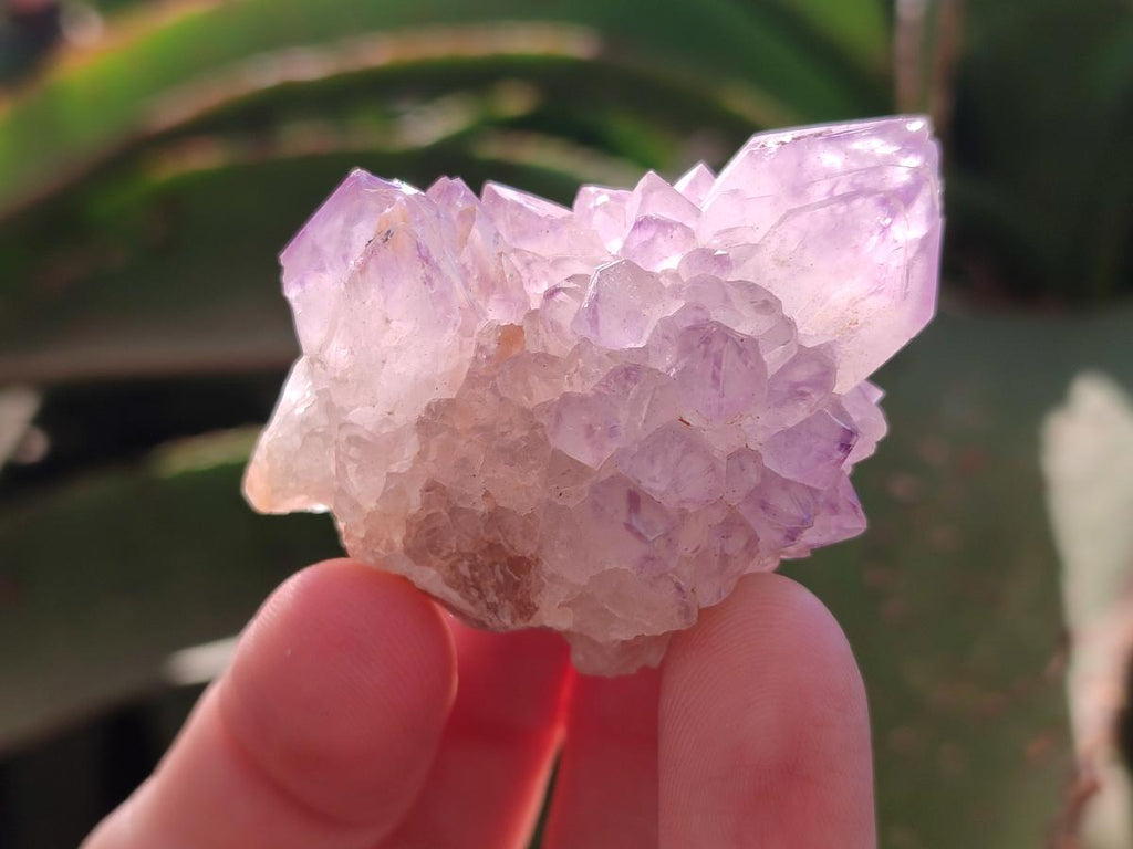 Natural Sunburst Spirit Amethyst Crystals x 20 From Boekenhouthoek, South Africa - Toprock Gemstones and Minerals 